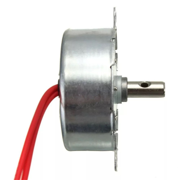 Синхронний двигун Pro TYC 50 5/6 RPM 12/220 V Diymore